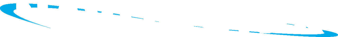 Navitronix
